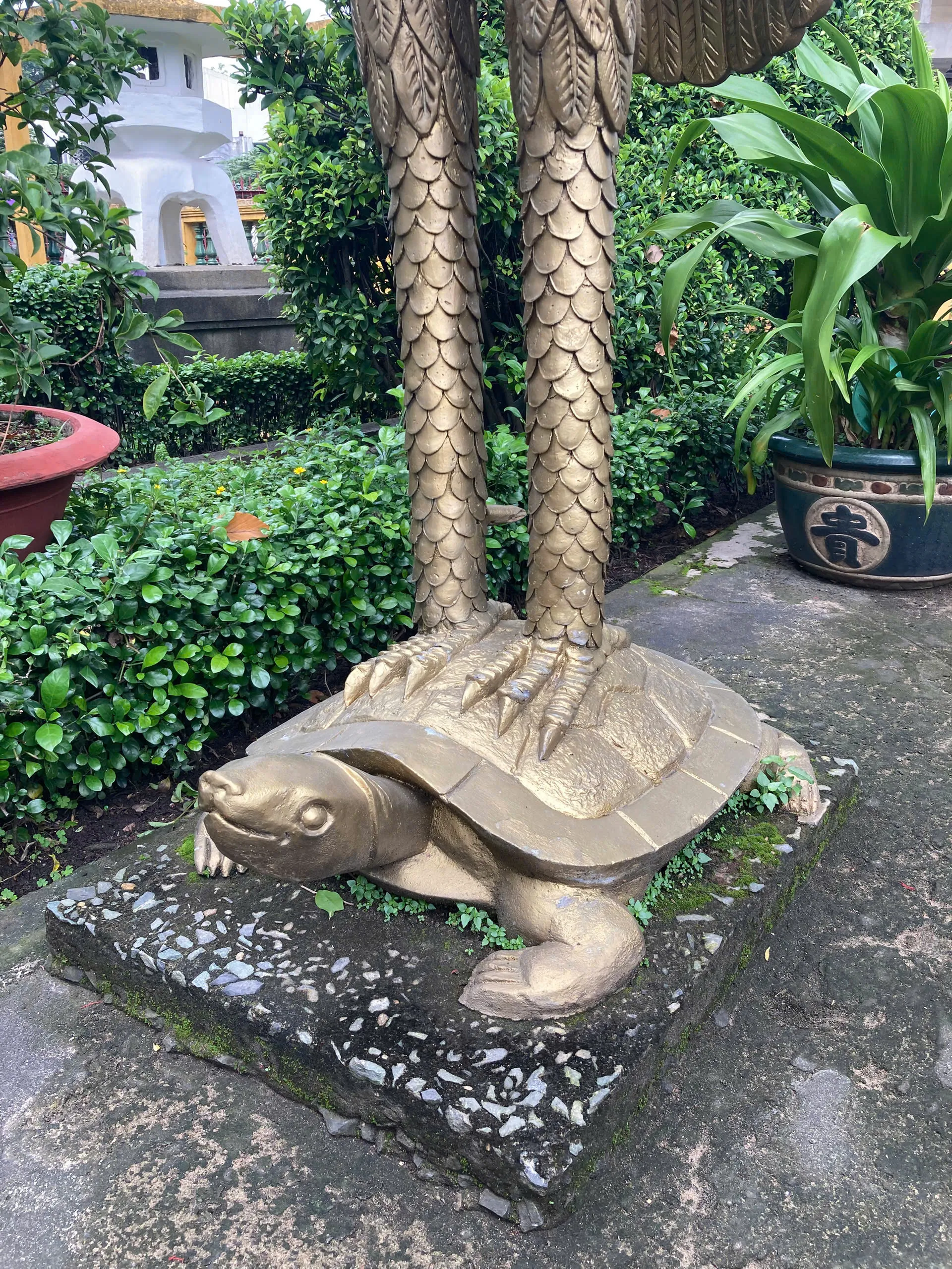 Bi Hi in Ho Chi Minh city