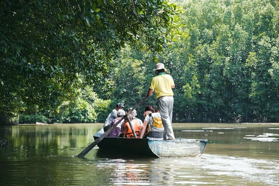 The luxury river route in Can Gio