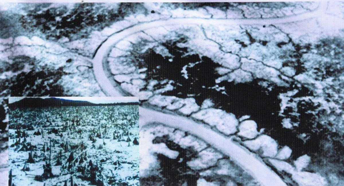 The forests in Can Gio were destroyed in the past