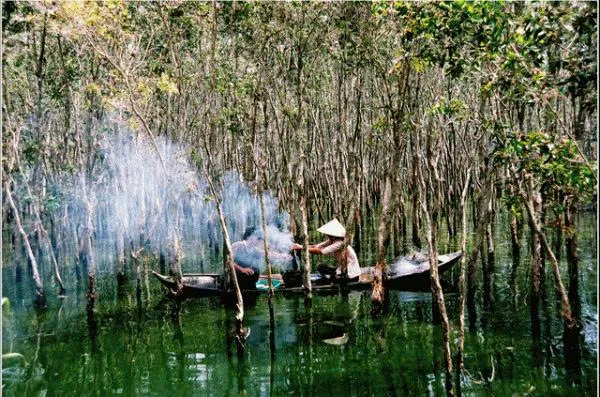 Chau Doc Tra Su forest Sam moutain