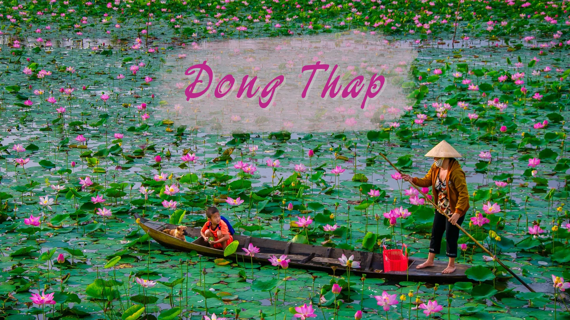 Dong Thap Mekong Delta