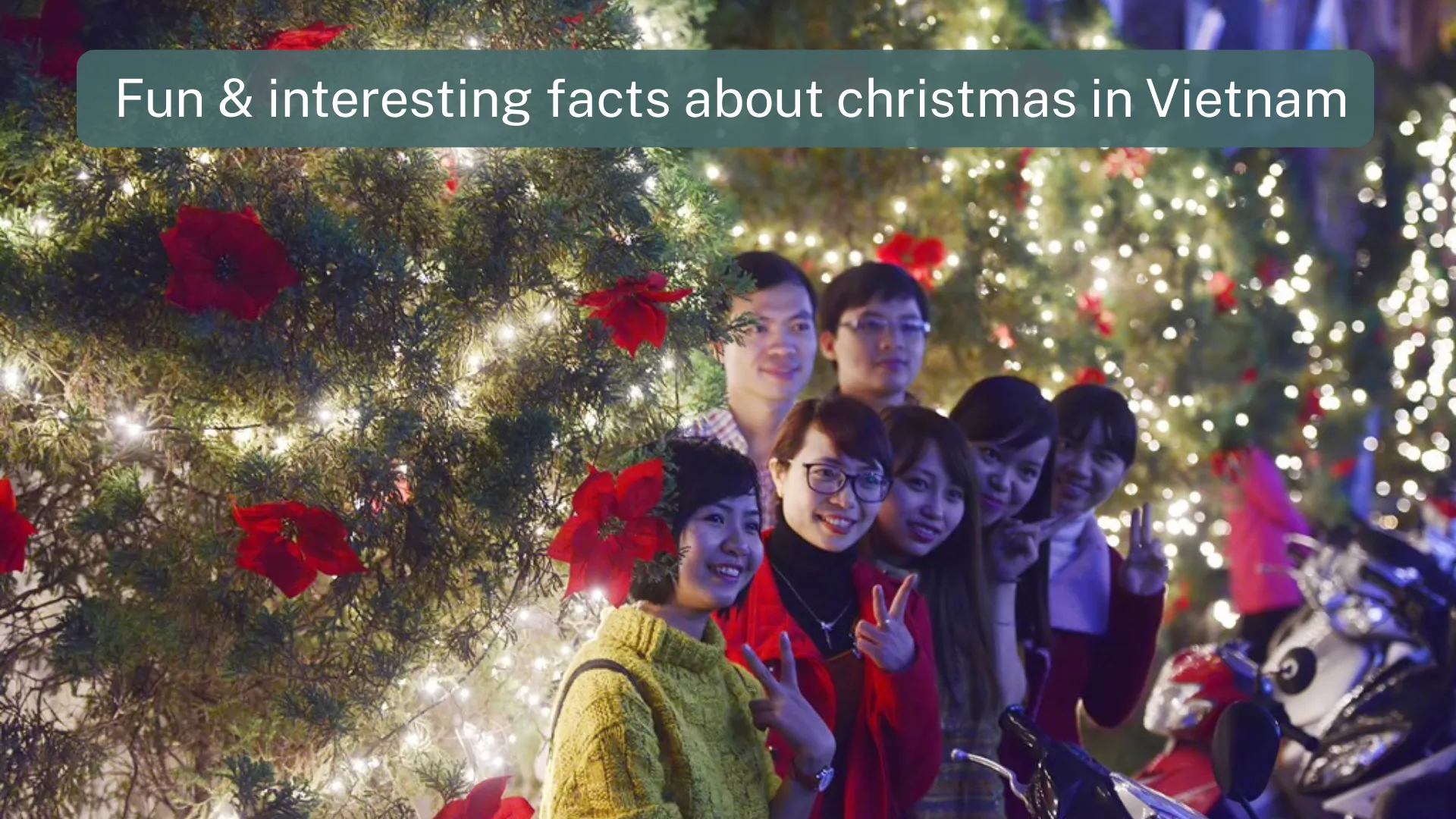 fun facts about christmas in vietnam