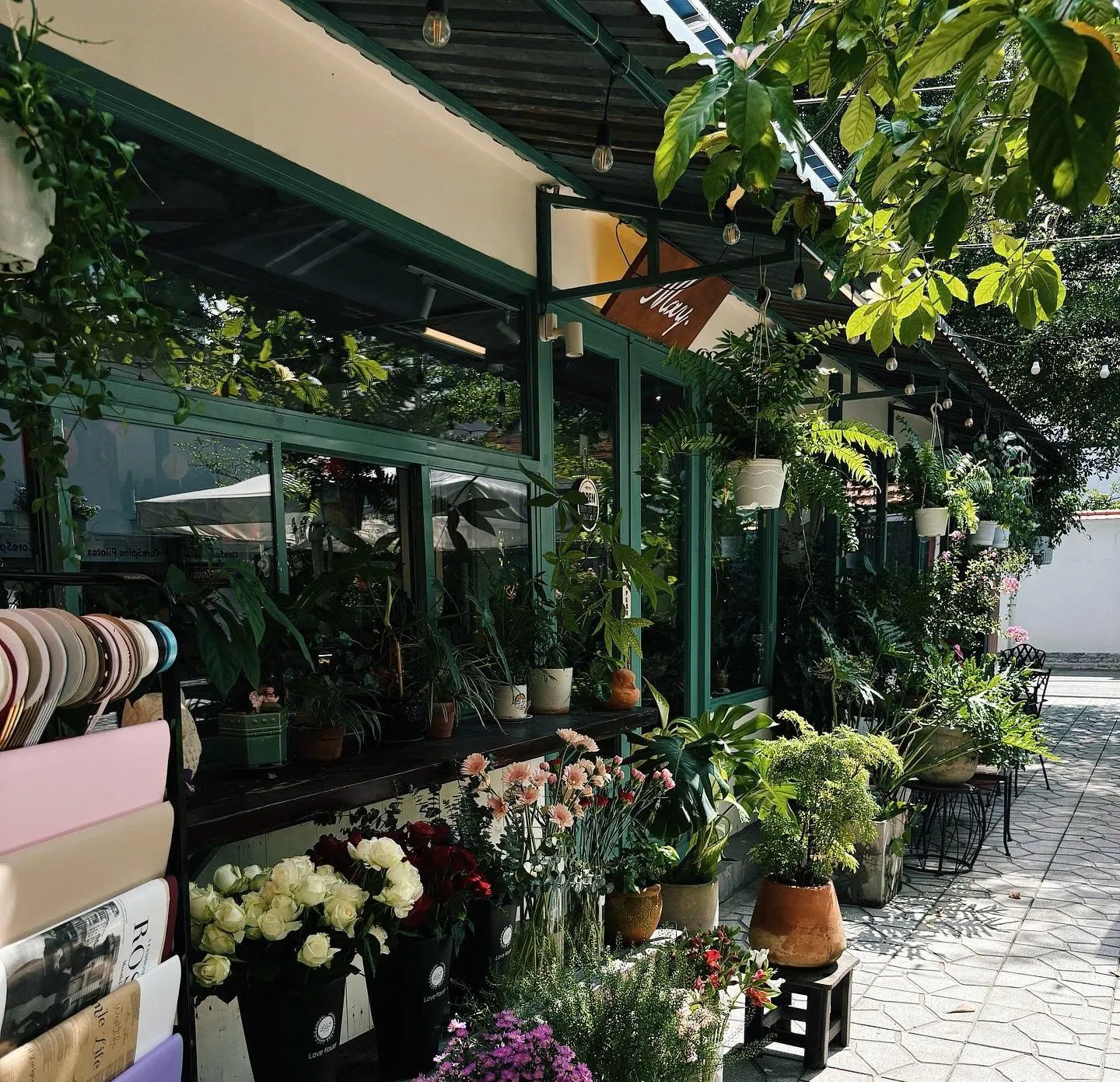 May Coffee thao dien