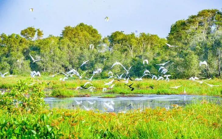 nature reserves and forests