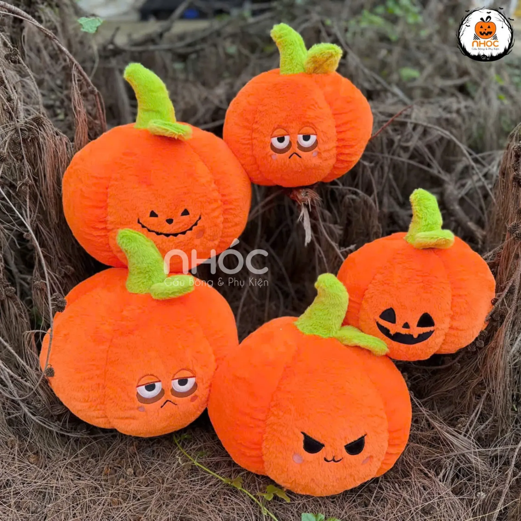  Nhóc Giftshop Halloween 2025