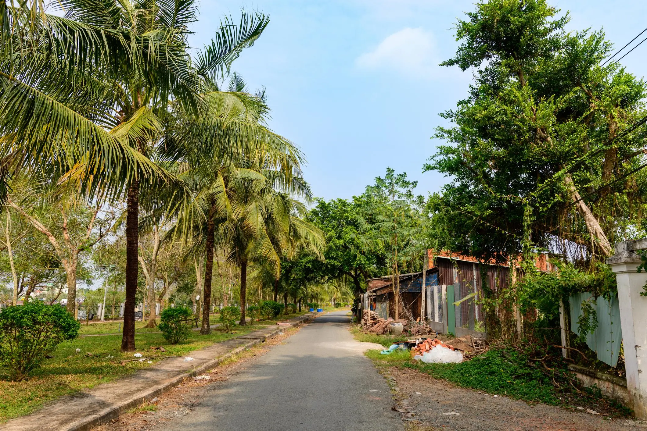 Ho Chi Minh to Mekong Delta scenic route by scooter