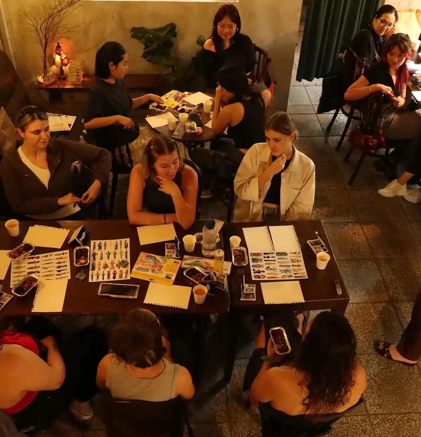 The Brownie by Tia thao dien