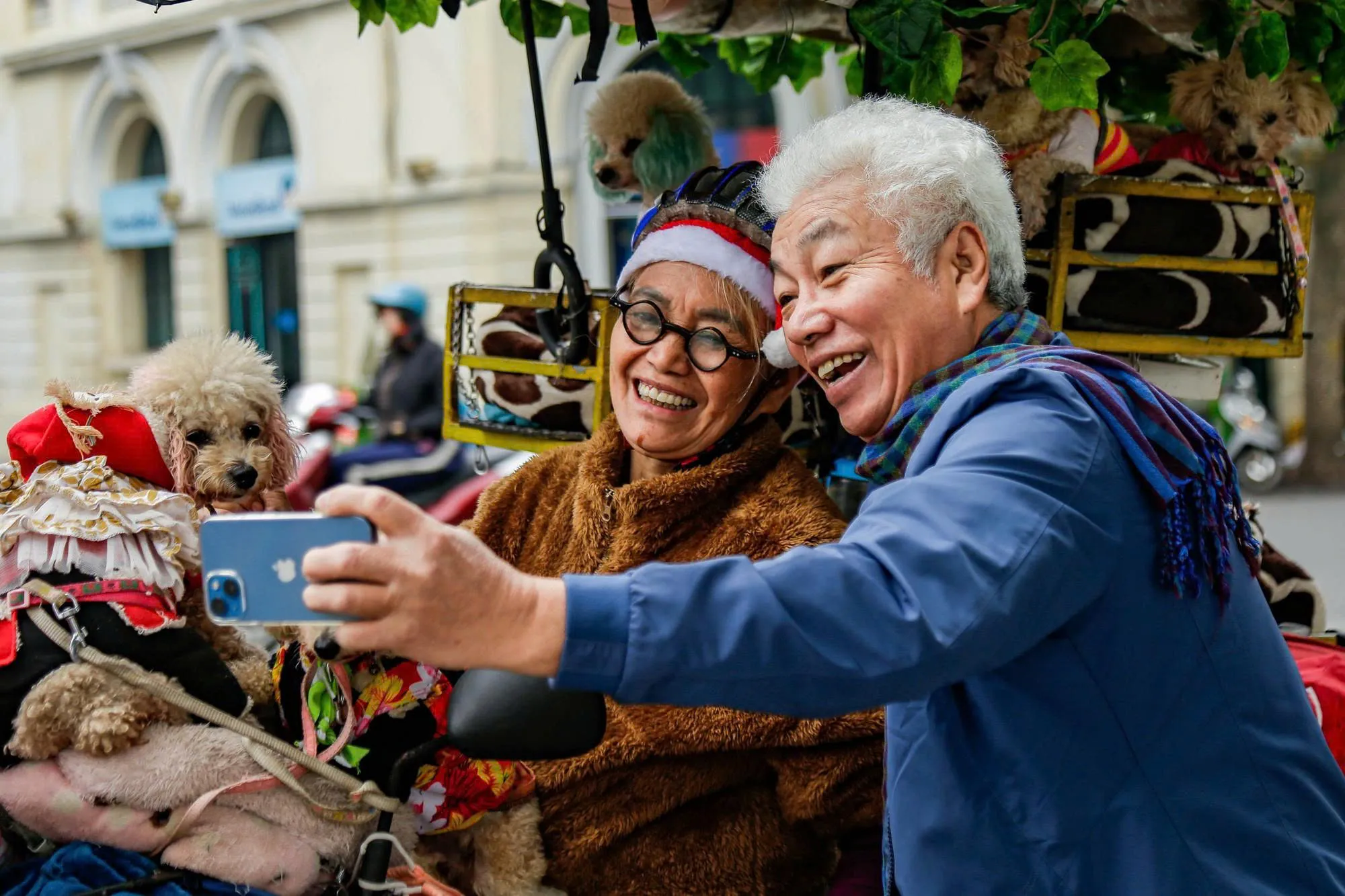 the dog costumes in Ho Chi Minh on christmas eve