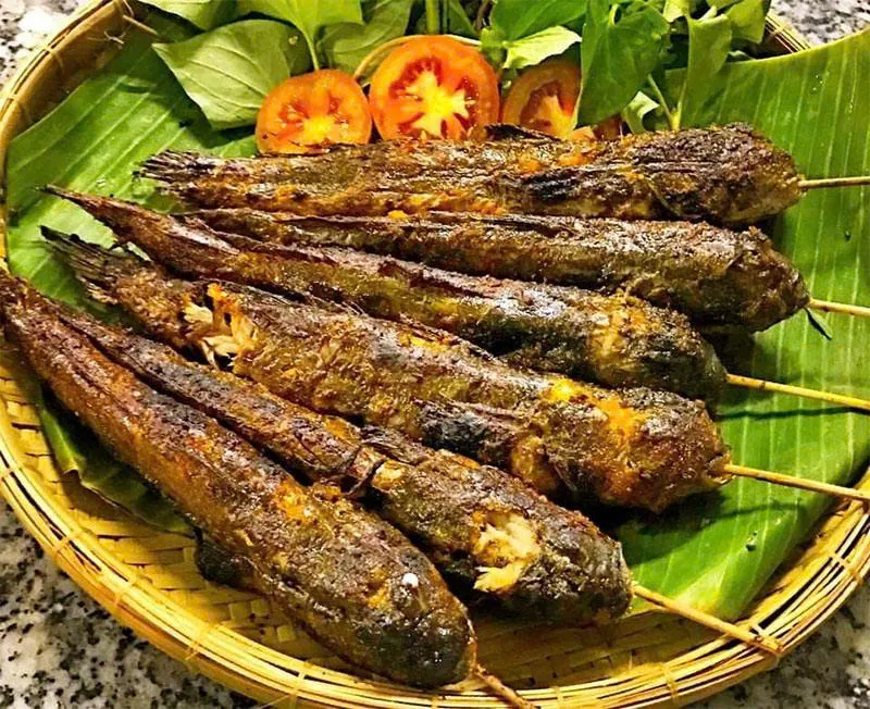 The mudskipper in Can Gio