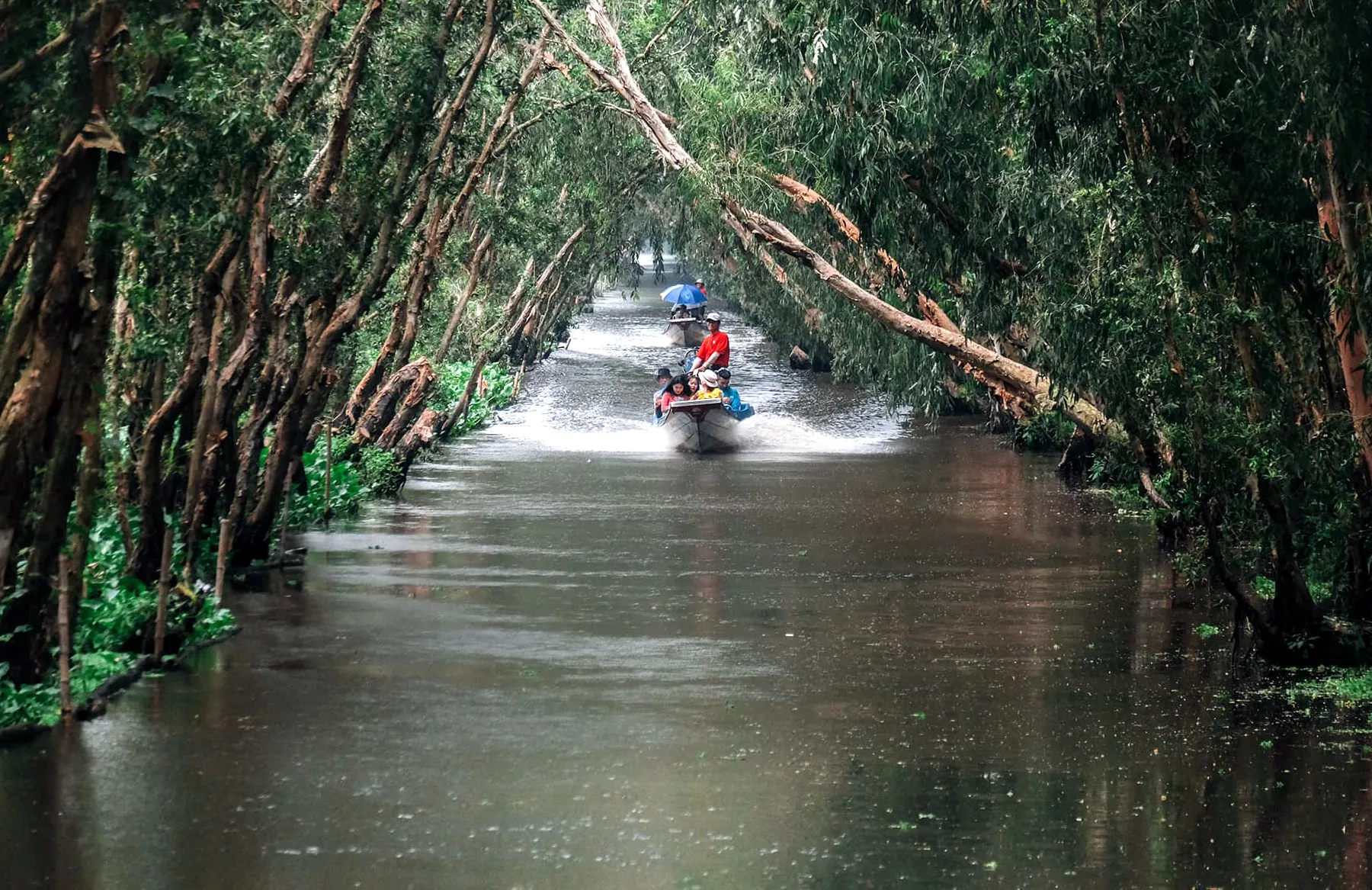 Tra Su Cajuput Forest