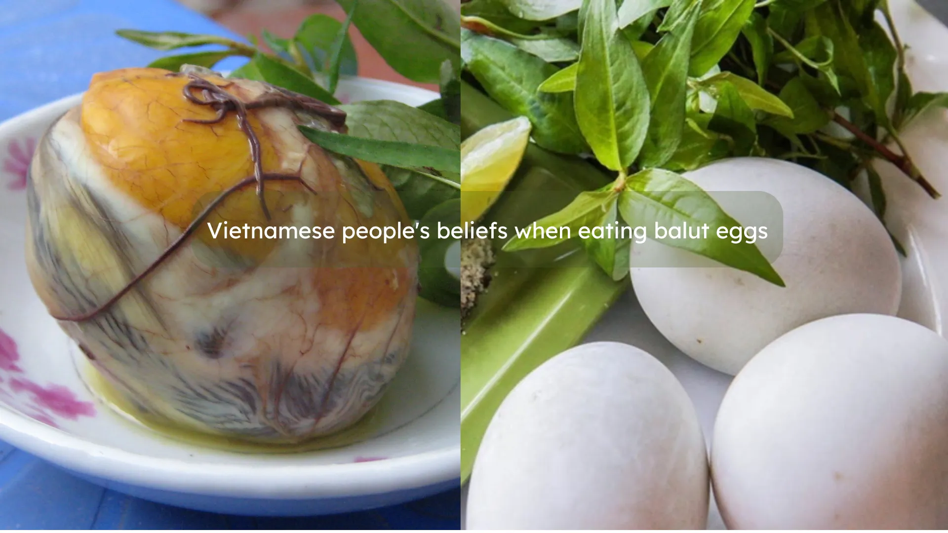 vietnamese people's belief when eating balut eggs